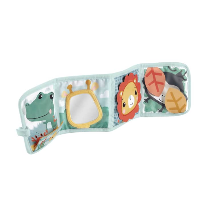 Jucarie pentru bebelusi Panou cu Activitati Fisher Price - poza 1