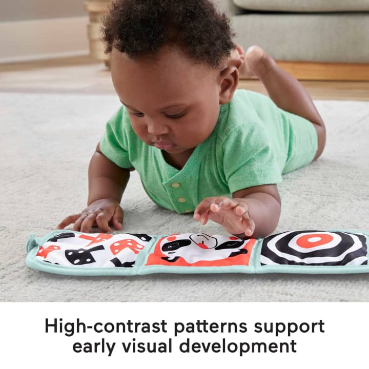 Jucarie pentru bebelusi Panou cu Activitati Fisher Price - poza 4