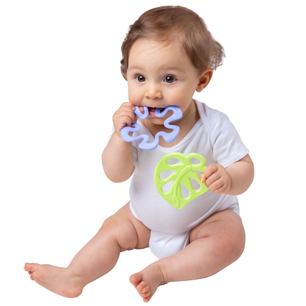 Jucarie pentru dentitie pentru bebelusi PlayGro Frunza si Floare - poza 4