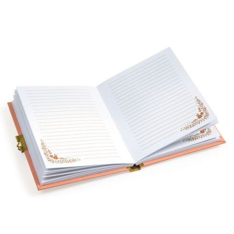 Jurnal secret Minico, Djeco - poza 4