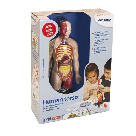 Kit educational mulaj Corpul uman si sistemul digestiv - poza 2