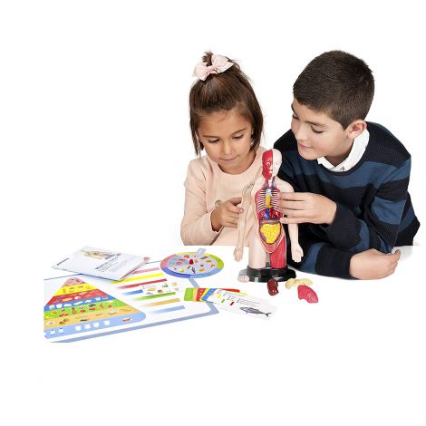 Kit educational mulaj Corpul uman si sistemul digestiv - poza 4