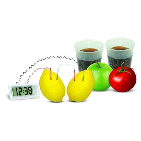 Kit stiintific - Ceas din cartof, Stiinta Verde - Green Science - poza 4