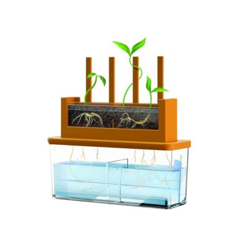 Kit stiintific - Creste un Labirint, Stiinta Verde - Green Science - poza 4