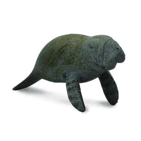 Lamantinul Pui - Collecta
