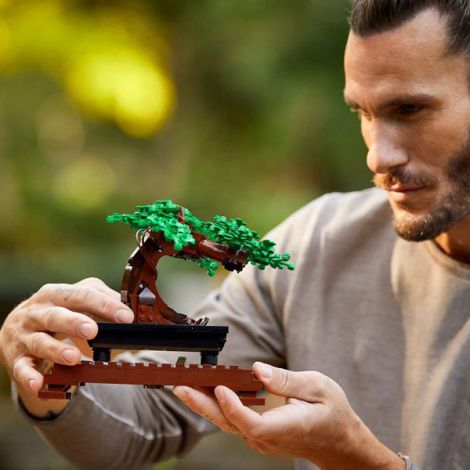 Lego Bonsai 10281 - poza 3