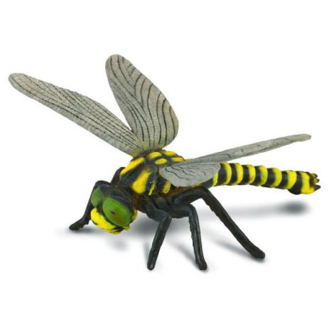 Libelula - Collecta - poza 1