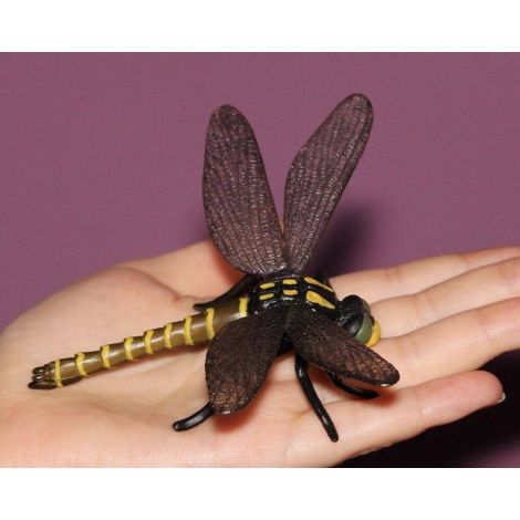 Libelula - Collecta - poza 2