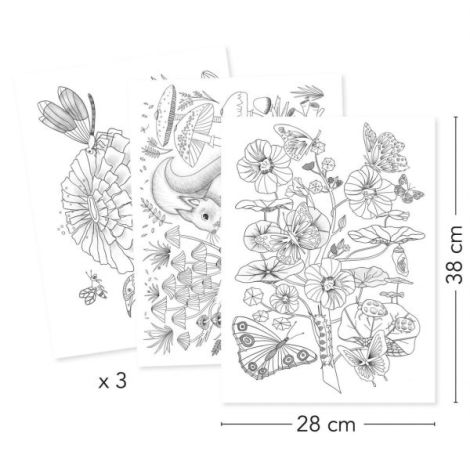 Mapa cu 3 postere de colorat Natura, Djeco - poza 2