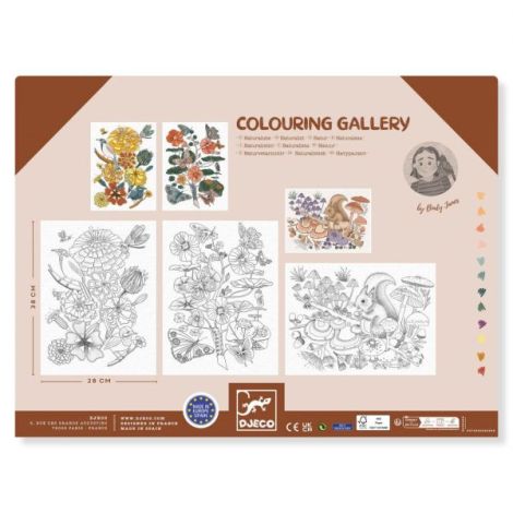 Mapa cu 3 postere de colorat Natura, Djeco - poza 3