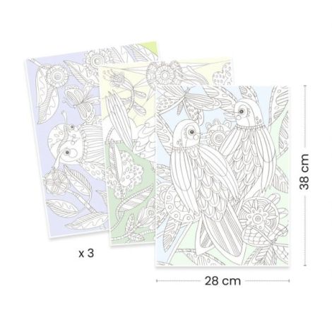 Mapa cu 3 postere de colorat Pasari, Djeco - poza 3