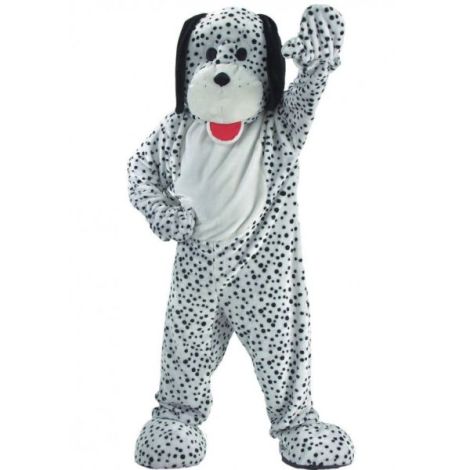 Mascota catel dalmatian profesionala - poza 1