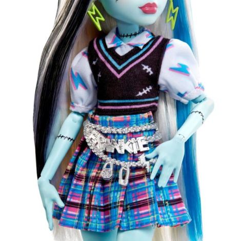 Monster High Papusa Frankie Stein Cu Animalut Si Accesorii - poza 5