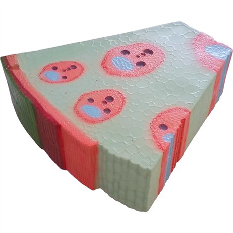 Mulaj model tulpina planta monocotiledonata, 40 x 12 cm, pentru uz didactic
