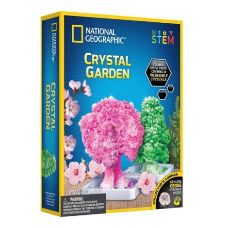 National Geographic - Kit Creativ Gradina De Cristale - poza 1