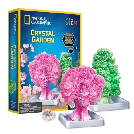 National Geographic - Kit Creativ Gradina De Cristale - poza 2