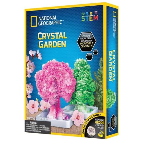 National Geographic - Kit Creativ Gradina De Cristale - poza 3