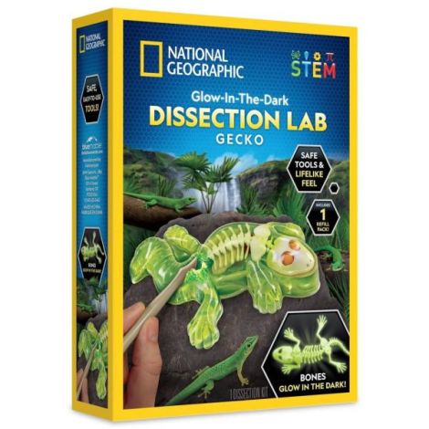 National Geographic - Kit creativ laborator de disectie soparla - poza 1