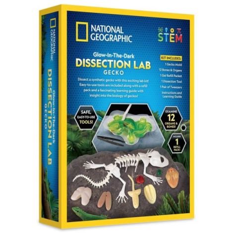 National Geographic - Kit creativ laborator de disectie soparla - poza 2