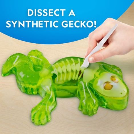 National Geographic - Kit creativ laborator de disectie soparla - poza 3