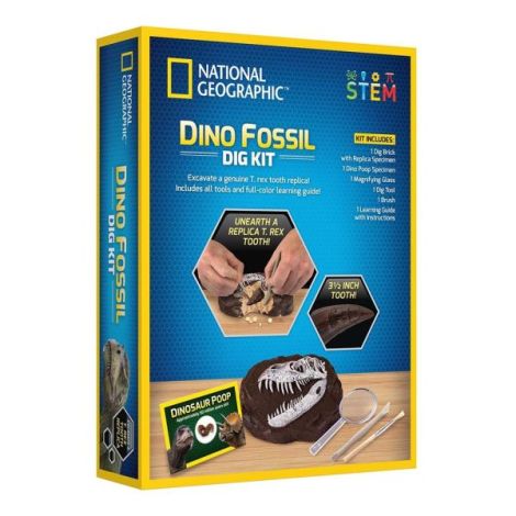National Geographic - Kit Creativ Sa Cautam Dinozauri - poza 2