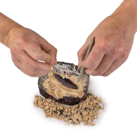 National Geographic - Kit Creativ Sa Cautam Dinozauri - poza 4