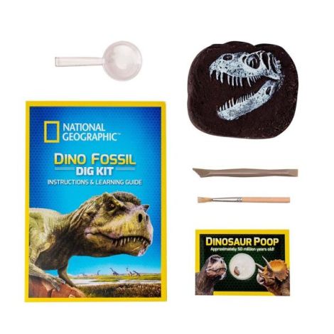National Geographic - Kit Creativ Sa Cautam Dinozauri - poza 5