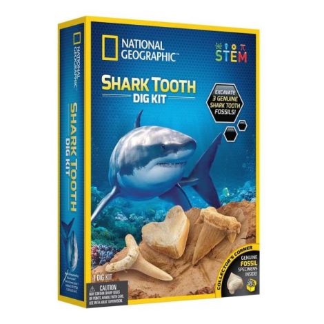 National Geographic - Kit Creativ Sa Cautam Dinti De Rechini - poza 1