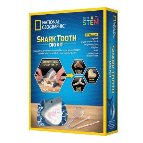National Geographic - Kit Creativ Sa Cautam Dinti De Rechini - poza 2