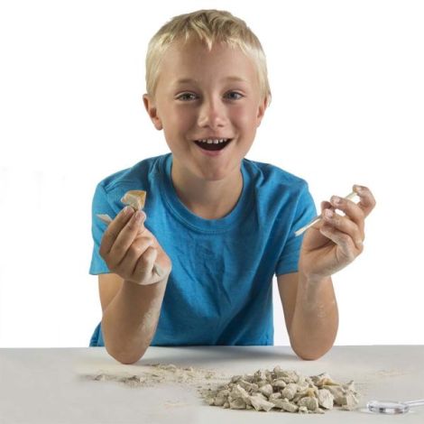 National Geographic - Kit Creativ Sa Cautam Dinti De Rechini - poza 3
