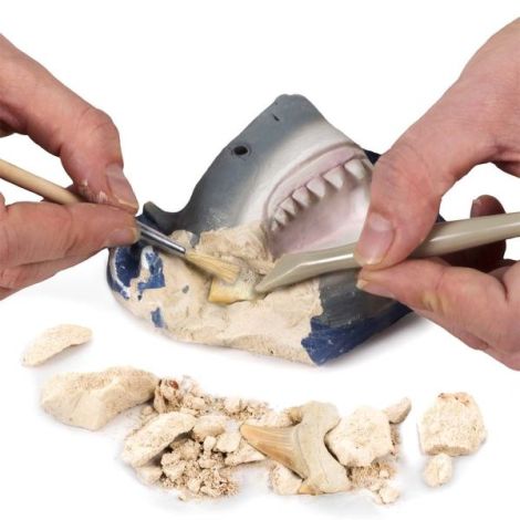 National Geographic - Kit Creativ Sa Cautam Dinti De Rechini - poza 4