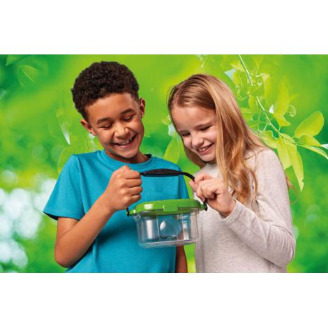 Observatorul pentru insecte - poza 3