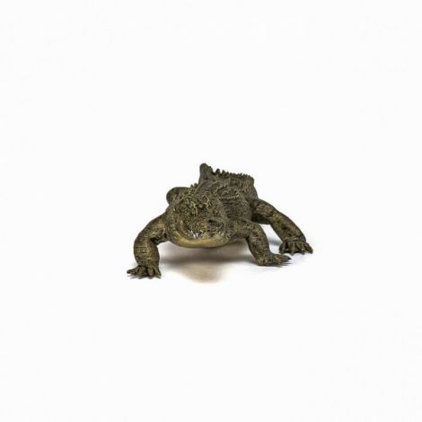 Papo Figurina Aligator - poza 4