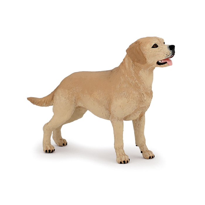 PAPO - Figurina Catel Labrador