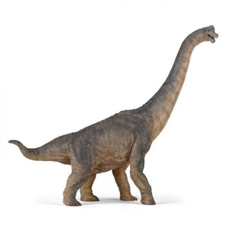 Papo Figurina Dinozaur Brachiosaurus - poza 1