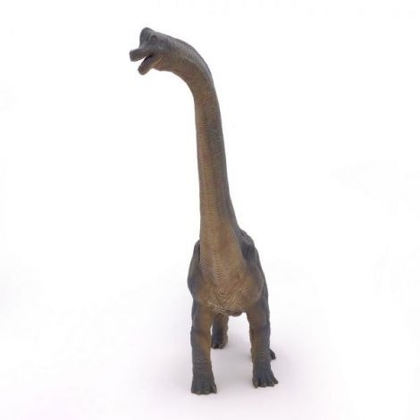 Papo Figurina Dinozaur Brachiosaurus - poza 2