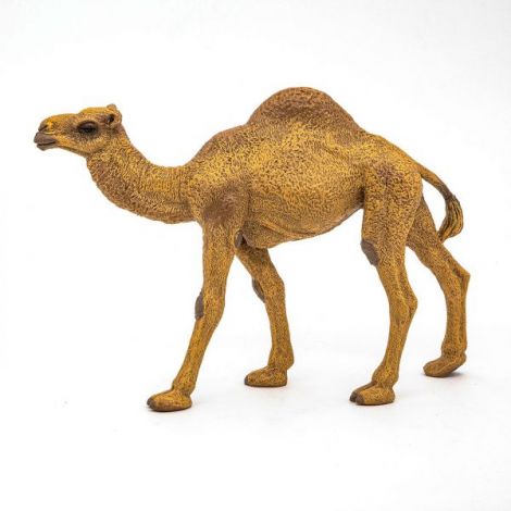 Papo Figurina Dromader - poza 5