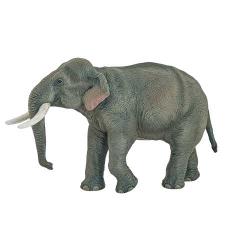 Papo Figurina Elefant Asiatic - poza 1
