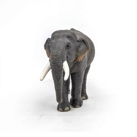 Papo Figurina Elefant Asiatic - poza 5