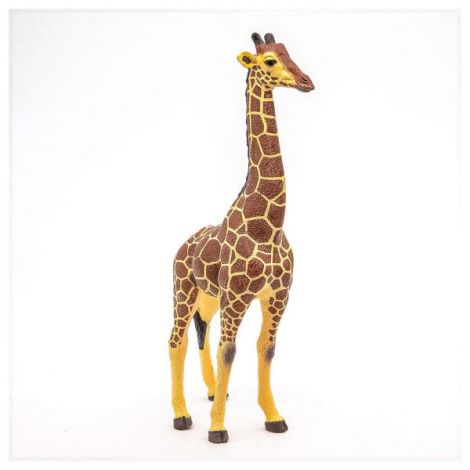 Papo Figurina Girafa Mascul - poza 5