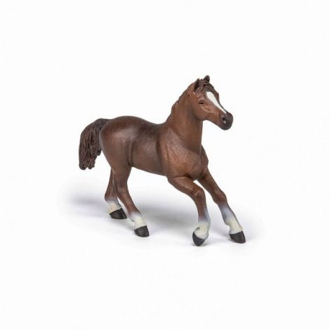 Papo Figurina Iapa Anglo-araba - poza 5
