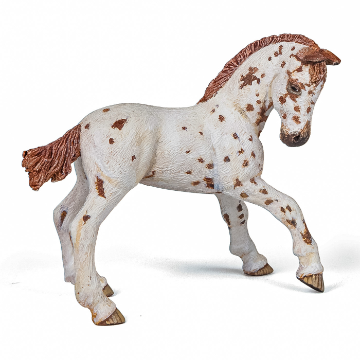 Papo - Figurina Manz Rasa Appaloosa