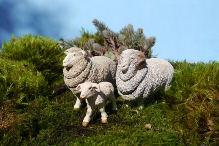 Papo - Figurina Oaie Merinos