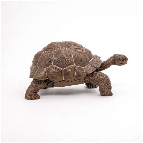 Papo Figurina Testoasa Galapagos - poza 2