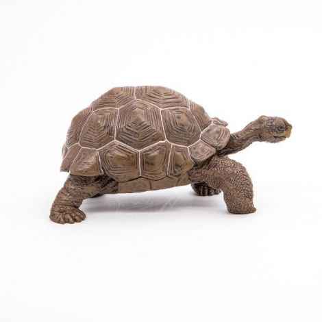 Papo Figurina Testoasa Galapagos - poza 3