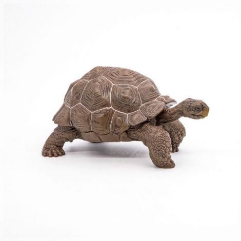 Papo Figurina Testoasa Galapagos - poza 4