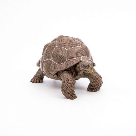 Papo Figurina Testoasa Galapagos - poza 5