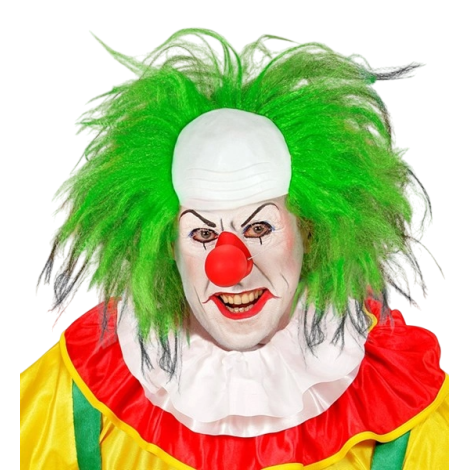Peruca clown verde - poza 1