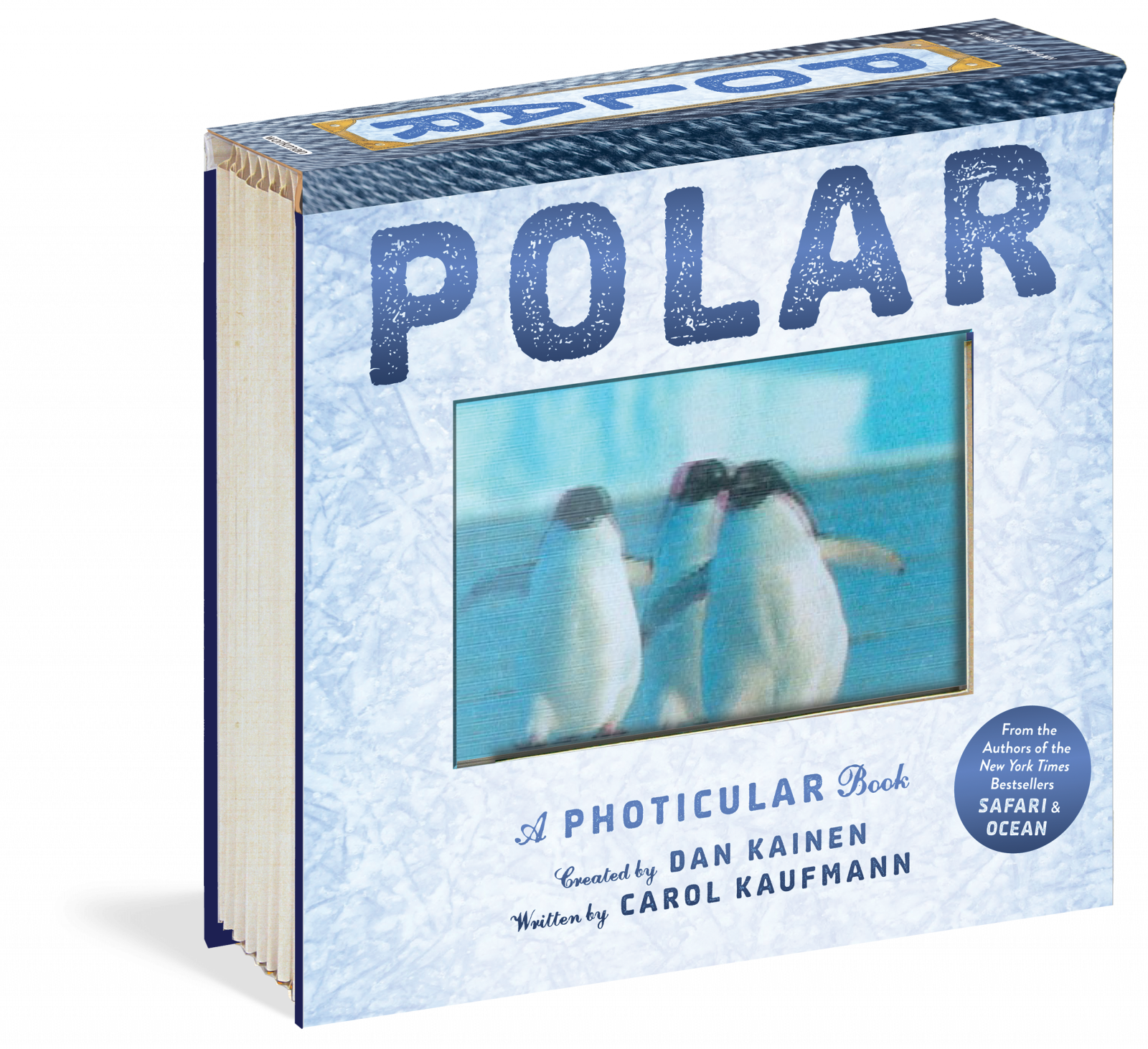 Polar: A Photicular Book, Dan Kainen