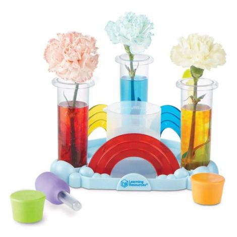Primul meu set de experimente - curcubeul reactiilor - poza 3